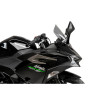 PUIG R-Racer Screen (Light Smoke) 22015H