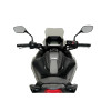 PUIG Sport Screen (Light Smoke) 20773H