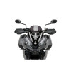 PUIG Sport Screen (Dark Smoke) 21318F