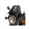 PUIG Naked Screen (Dark Smoke) 0869F