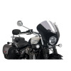 PUIG Dark Night Screen (Light Smoke) 21115H