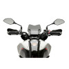 PUIG Sport Screen (Light Smoke) 21753H