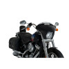 PUIG Batwing Sport Screen (Light Smoke) 21051H