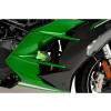 PUIG R19 Frame Sliders (Black) 9708N