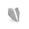 PUIG Sport Screen (Light Smoke) 21753H