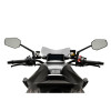 PUIG New Generation Sport Screen (Light Smoke) 21906H