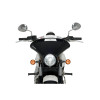PUIG Batwing Sport Screen (Light Smoke) 21071H