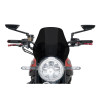 PUIG Naked Screen (Dark Smoke) 21347F