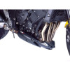 PUIG Engine Spoiler (Carbon Look) 4135C