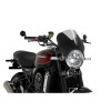 PUIG Black Fairing With Vision Screen (Light Smoke) 024NH