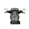 PUIG Batwing Sports Screen (Dark Smoke) 21340F