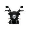 PUIG Batwing Sport Screen (Clear) 21075W