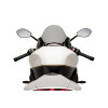 PUIG R-Racer Screen (Light Smoke) 21262H