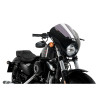 PUIG Dark Night Screen (Light Smoke) 21098H