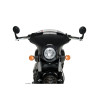 PUIG Batwing Sport Screen (Light Smoke) 21073H