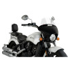 PUIG Batwing Touring Screen (Clear) 21072W